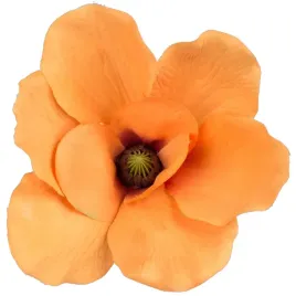 magnolia-glowka-wyrobowa-brazowo-pomaranczowa-1szt