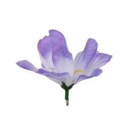 irys-fioletowo-bialy-glowka-wyrobowa-1-szt