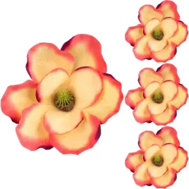 magnolia-glowka-wyrobowa-j-pomarancz-purpura-3szt