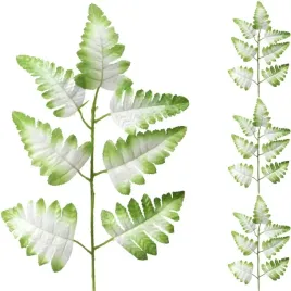 lisc-paproci-dekoracyjny-kremowo-zielony-3szt