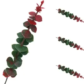 eukaliptus-galazka-ozdobna-zielono-burgundowa-3szt