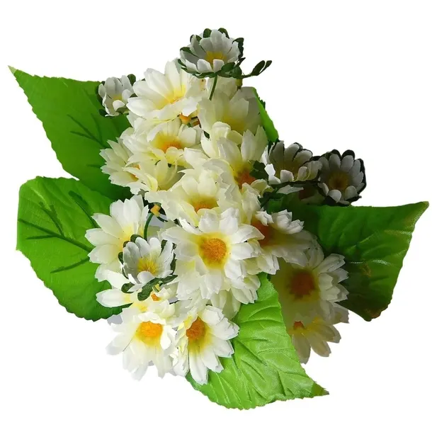rumianek-kremowy-bukiet-do-wazonu-marka-siima