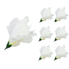 irys-bialy-glowka-wyrobowa-ozdobna-6-szt