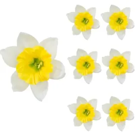 zonkil-bialy-zolty-glowka-wyrobowa-ozdobna-6-szt