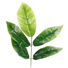 galazka-ozdobna-mangowiec-57-cm-zielona