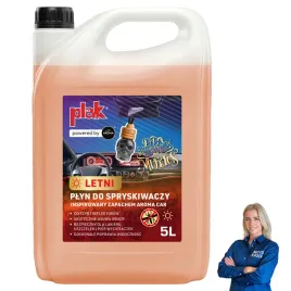plyn-do-spryskiwaczy-letni-5l-zapachowy-plak-aroma-car-dia-de-los-muertos