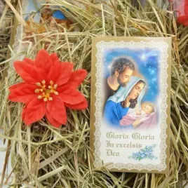 sianko-wigilijne-pod-oplatek-obrazek-gwiazda-z3