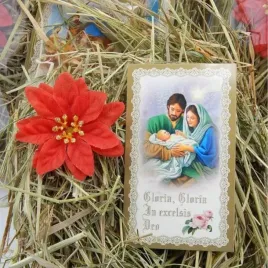 sianko-wigilijne-pod-oplatek-obrazek-gwiazda-z4