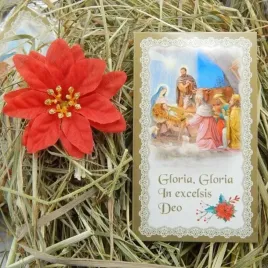 sianko-wigilijne-pod-oplatek-obrazek-gwiazda-z7