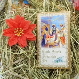 sianko-wigilijne-pod-oplatek-obrazek-gwiazda-z6