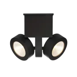 lampa-sufitowa-reflektor-led-2-x-10w-1800lm
