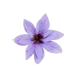 poinsencja-glowka-wyrobowa-jasny-fiolet-1szt