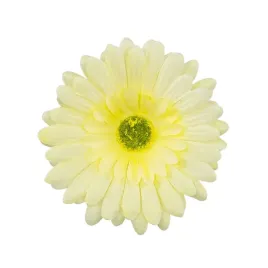 gerbera-sat-jasny-zolty-glowka-wyrobowa-12-szt