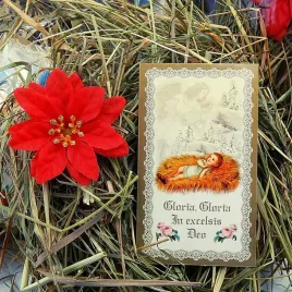 sianko-wigilijne-pod-oplatek-obrazek-gwiazda-z2