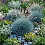 kostrzewa-sina-srebrne-kepy-na-slonce-mrozoodporne-sadzonka-05l