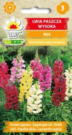 lwia-paszcza-wysoka-nasiona-kwiatow-05g-toraf