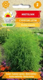 mietelnik-cyprysik-letni-nasiona-kwiatow-1g-toraf