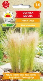 ostnica-mocna-pony-tails-nasiona-kwiatow-01g-toraf