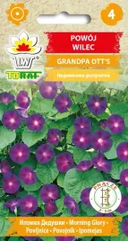 powoj-wilec-grandpa-ott-s-nasiona-kwiatow-1g-toraf