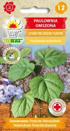 paulownia-omszona-nasiona-kwiatow-005g-toraf