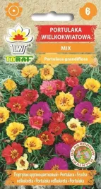portulaka-wielkokwiatowa-mix-nasiona-kwiatow-05g-toraf