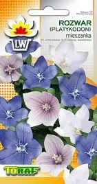 rozwar-platykodon-mix-nasion-kwiatow-02g-toraf