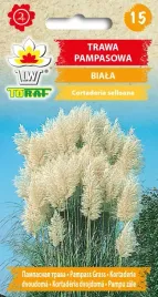 trawa-pampasowa-biala-nasiona-kwiatow-01g-toraf