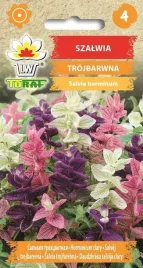 szalwia-trojbarwna-nasiona-kwiatow-05g-toraf