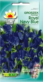 groszek-royal-navy-blue-nasiona-1g-toraf