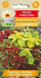 toraf-kwiaty-koleus-rainbow-mixture-nasiona-02g
