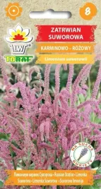 toraf-kwiaty-zatrwian-suworowa-nasiona-01g