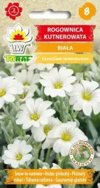toraf-kwiaty-rogownica-kutnerowata-nasiona-02g