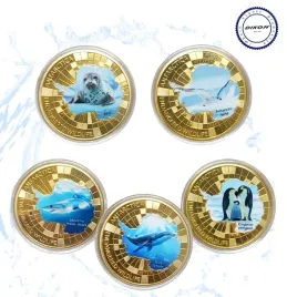 zestaw-monet-dikom-zwierzeta-arktyki-edukacyjne-monety-dla-dzieci-mlodziezy