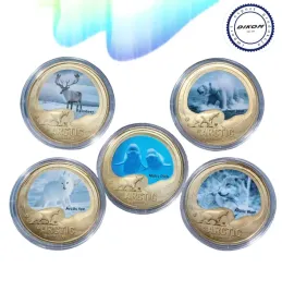 zestaw-monet-dikom-zwierzeta-arktyki-edukacyjne-monety-dla-dzieci-mlodziezy