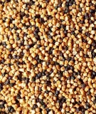 pellet-2mm-method-feeder-bait-prestige-natural-marka-feeder-bait