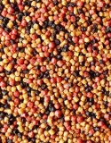 micro-pellet-2mm-method-feeder-bait-prestige-spice-marka-feeder-bait