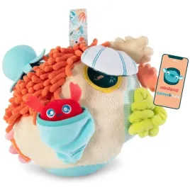 zabawka-sensoryczna-rafa-koralowa