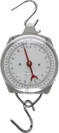 waga-zegarowa-zawieszana-5-kg-486780