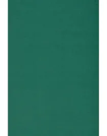 papier-a4-burano-english-green-250g-20ark-zielony