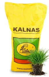 kalnas-trawa-wimbledon-10kg-mieszanka-traw-sportowa-gratis