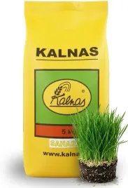 kalnas-trawa-sahara-5kg-odporna-na-susze-slonce-trawnik-gratis