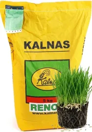 kalnas-trawa-reno-renowacyjna-5kg-regeneracja-trawnika-gratis