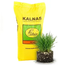 kalnas-trawa-gol-10kg-sportowa-na-boisko-odporna-wolnorosnaca-gratis
