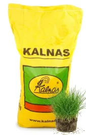 kalnas-trawa-wimbled-10kg-mieszanka-traw-odporna-sportowa-gratis