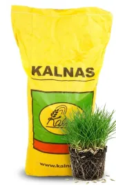 kalnas-trawa-krolewska-10kg-mieszanka-traw-dywanowa-gratis