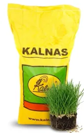 kalnas-trawa-dark-10kg-na-tereny-zacienione-do-cienia-gratis