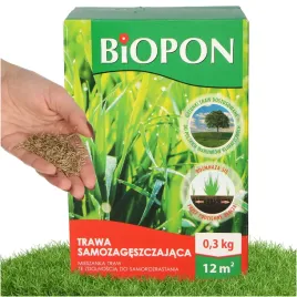 trawa-samozageszczajaca-nasiona-uniwersalna-03kg