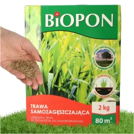 trawa-samozageszczajaca-nasiona-uniwersalna-2-kg