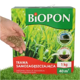 trawa-samozageszczajaca-nasiona-uniwersalna-1-kg