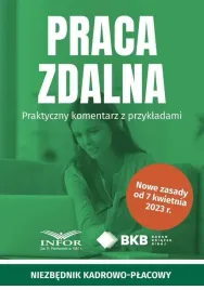 praca-zdalna-praktyczny-komentarz-z-przykladami